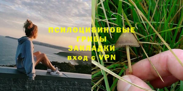 эйфоретик Алексин